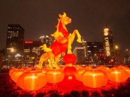 PM Shehbaz greets President Xi, Chinese people on Lunar New Year