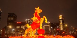 PM Shehbaz greets President Xi, Chinese people on Lunar New Year