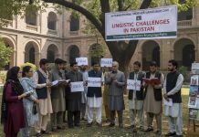International Mother Language Day in the Light of languagistics issues in Pakistan