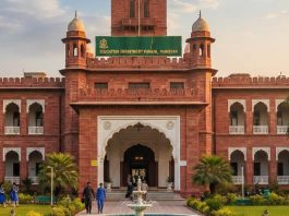 Grade 17 officers are posted at grade 18 and grade 18 at grade 19 in Punjab Education Department