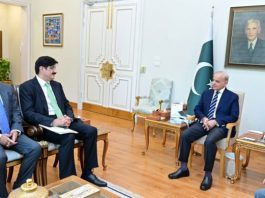 PM Shehbaz assures full federal support for Sindh projects in meeting with Murad Ali Shah