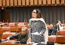 Senate condemns unprovoked Afghan aggression in resolution presented by Sherry Rehman