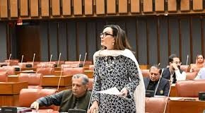 Senate condemns unprovoked Afghan aggression in resolution presented by Sherry Rehman