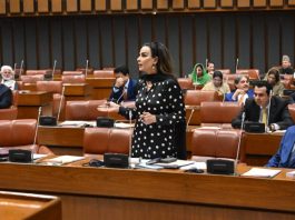 Sindh’s unity Non-Negotiable, Sherry Rehman tells Senate