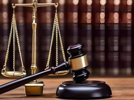 Court rejects appeals of PTI social media activist Haider Saeed in tweet cases