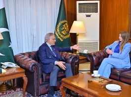 British High Commissioner calls on DPM Ishaq Dar
