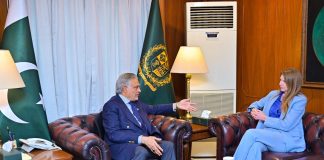 British High Commissioner calls on DPM Ishaq Dar