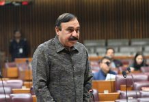 Regional situation requires national unity: Dr Tariq