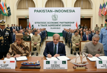 From Friendship to Trade: A New Horizon in Pakistan–Indonesia Relations