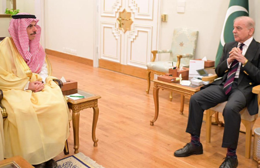 PM, Saudi FM discuss ways to achieve peace, stability in region