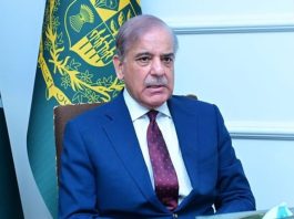 PM Shehbaz Sharif discusses current regional situation with Amir of Qatar