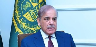 PM Shehbaz Sharif discusses current regional situation with Amir of Qatar