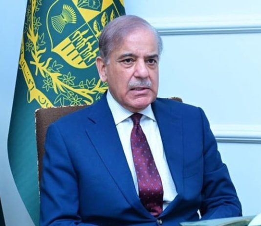 PM Shehbaz Sharif discusses current regional situation with Amir of Qatar