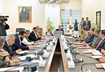PM reviews regional, security situation