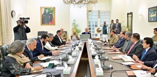 PM reviews regional, security situation