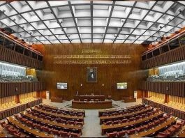 Senate marks Earth Hour, calls for action on climate change