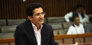 Govt managed global oil crisis responsibly: Ali Pervaiz Malik