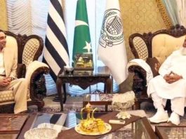 Bilawal, Fazlur Rehman discuss political situation in country