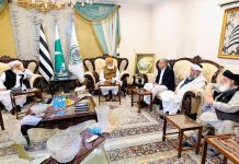 Interior minister meets Fazlur Rehman, discusses political situation