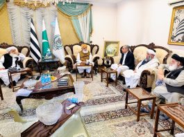 Interior minister meets Fazlur Rehman, discusses political situation