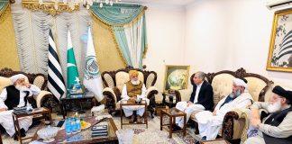Interior minister meets Fazlur Rehman, discusses political situation