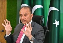 Musadik lauds PM’s leadership, reiterates Pakistan’s commitment to peace