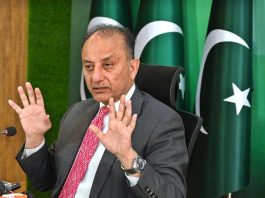 Musadik lauds PM’s leadership, reiterates Pakistan’s commitment to peace
