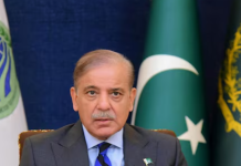 PM pays tribute to framers of Constitution of Pakistan