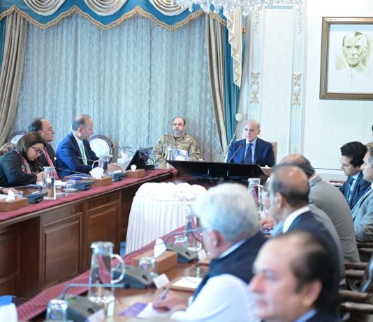 PM Sharif reviews petroleum supply chain, orders steps to ensure relief for low-income groups