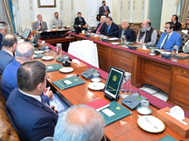 PM Shehbaz terms Pakistan’s peace diplomacy “Historic Moment of Honour,” vows continued efforts for lasting regional stability