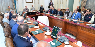 PM Shehbaz terms Pakistan’s peace diplomacy “Historic Moment of Honour,” vows continued efforts for lasting regional stability