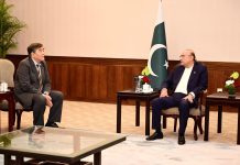 President invites greater Chinese investment in priority sectors