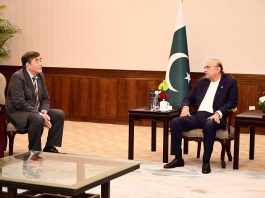 President invites greater Chinese investment in priority sectors