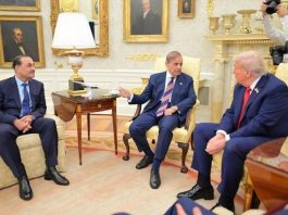 Amid ME crisis, Pakistan emerges as central actor asserting beyond South Asia: US magazine