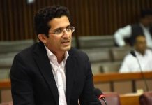 Ali Pervaiz reaffirms commitment to timely completion of Reko Diq project