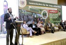 Atta Tarar says Pakistan emerges as formidable power post Marka-e-Haq