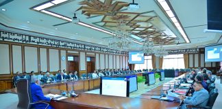 DPM/FM Dar chairs ECNEC meeting, approves several development projects