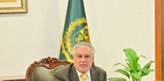 DPM/FM Dar chairs meeting on recognition of medical, alternative medicine institutions