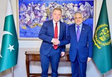 Norway’s deputy FM meets DPM Dar; reiterates support for Pakistan’s peace efforts