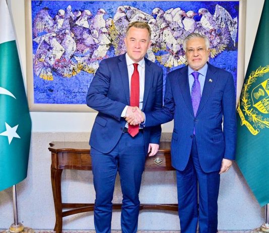 Norway’s deputy FM meets DPM Dar; reiterates support for Pakistan’s peace efforts