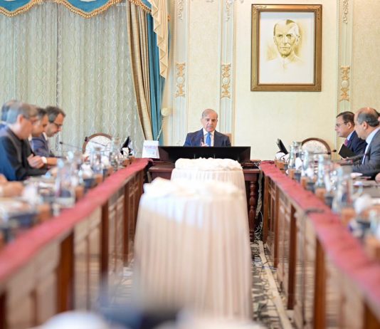 PM chairs review meeting on power sector reforms, pushes comprehensive RE strategy