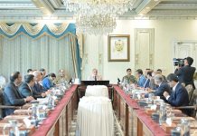 PM Shehbaz reviews youth programme, directs expansion of skills, business opportunities
