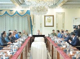 PM Shehbaz reviews youth programme, directs expansion of skills, business opportunities