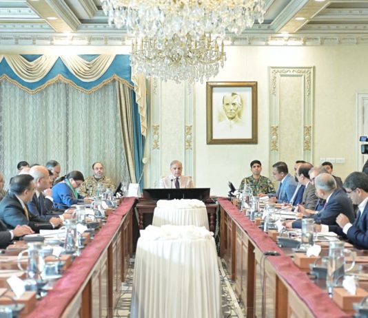 PM Shehbaz reviews youth programme, directs expansion of skills, business opportunities