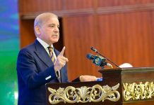 Pakistan earns global trust through peace efforts: PM Shehbaz Sharif