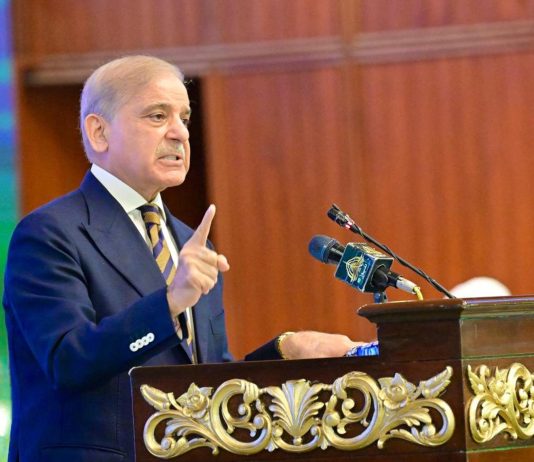 Pakistan earns global trust through peace efforts: PM Shehbaz Sharif