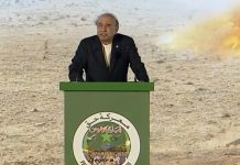 Pakistani nation, forces well capable, ready to defend territorial integrity: President