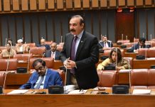 Anti-Pakistan conspiracies to fail, Senate told