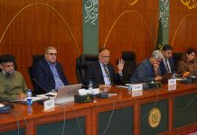 CDWP approves 15 projects worth Rs34.74bn, refers nine schemes of Rs431bn to ECNEC