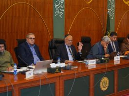 CDWP approves 15 projects worth Rs34.74bn, refers nine schemes of Rs431bn to ECNEC